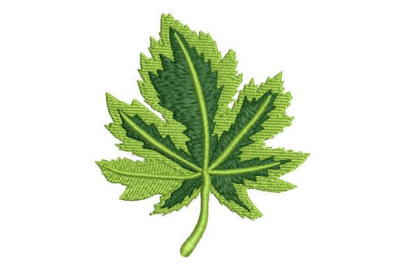Reviewing the Green Leaf with Branches Design
